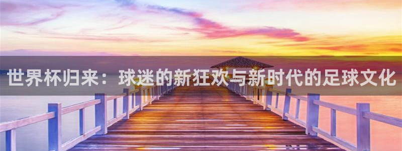 女足世界杯直播在线观看免费高清：世界杯归来：球迷的新狂欢与新时代的足球文化