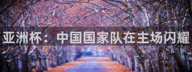 2026世界杯赛程时间表最新：亚洲杯：中国国家队在主场闪耀