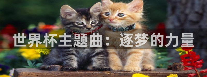 世预赛欧洲赛程表：世界杯主题曲：逐梦的力量