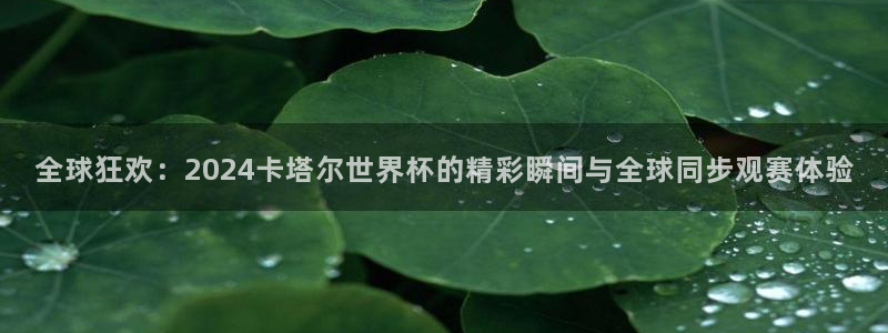 今天所有足球赛程表：全球狂欢：2024卡塔尔世界杯的精彩瞬间与全球同步观赛体验