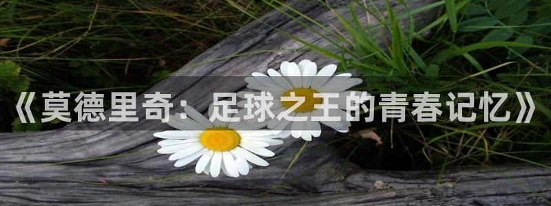 2026世预赛全部赛程：《莫德里奇：足球之王的青春记忆》