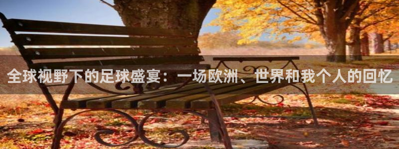 世界杯赛程时间表：全球视野下的足球盛宴：一场欧洲、世界和我个人的回忆