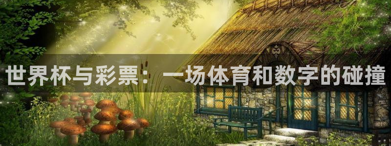 世预赛赛程表：世界杯与彩票：一场体育和数字的碰撞