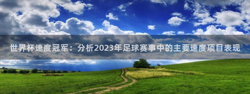 世界杯预选赛亚洲：世界杯速度冠军：分析2023年足球赛事中的主要速度项目表现