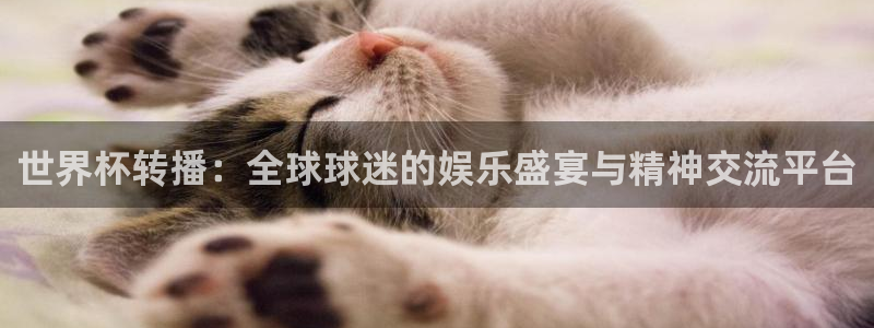 世界杯预选赛欧洲区赛程：世界杯转播：全球球迷的娱乐盛宴与精神交流平台