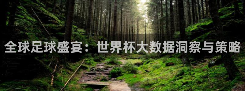 2026世界杯亚洲区预选赛赛程：全球足球盛宴：世界杯大数据洞察与策略
