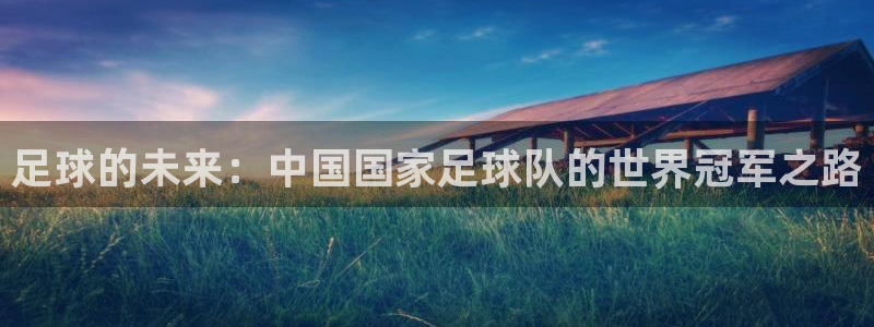 世界杯球队排名：足球的未来：中国国家足球队的世界冠军之路