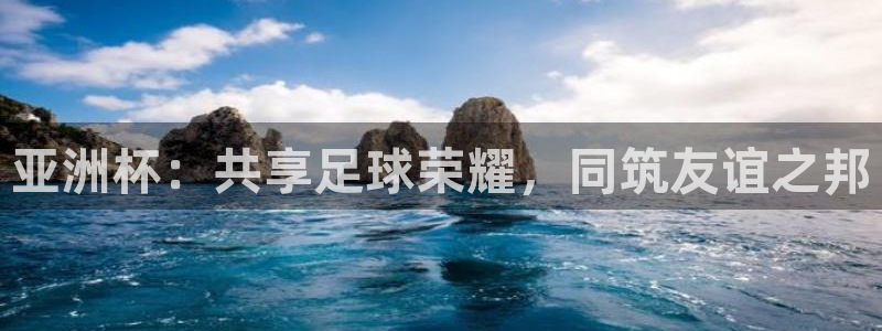 世界杯决赛预测：亚洲杯：共享足球荣耀，同筑友谊之邦