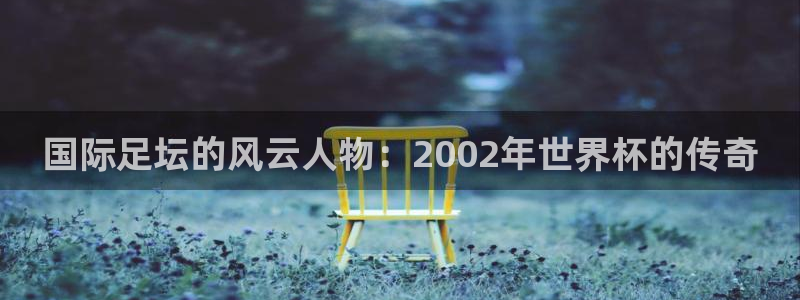 2026世界杯南美区积分榜：国际足坛的风云人物：2002年世界杯的传奇